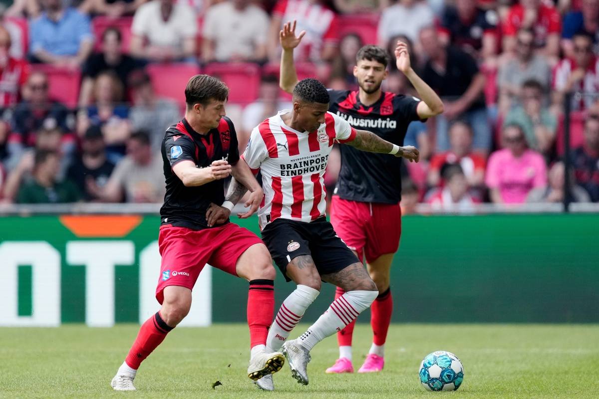 哨的观点无 哨的观点无