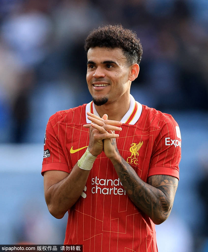 全局表现 全局表现