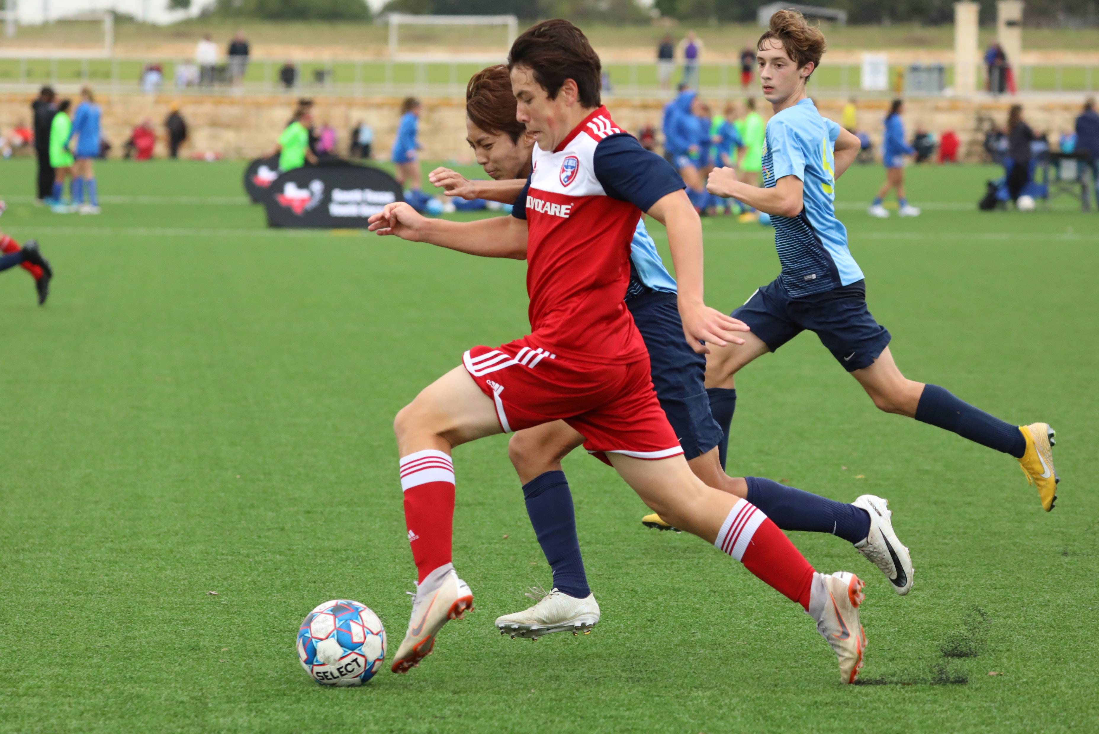 的英语原版 的英语原版